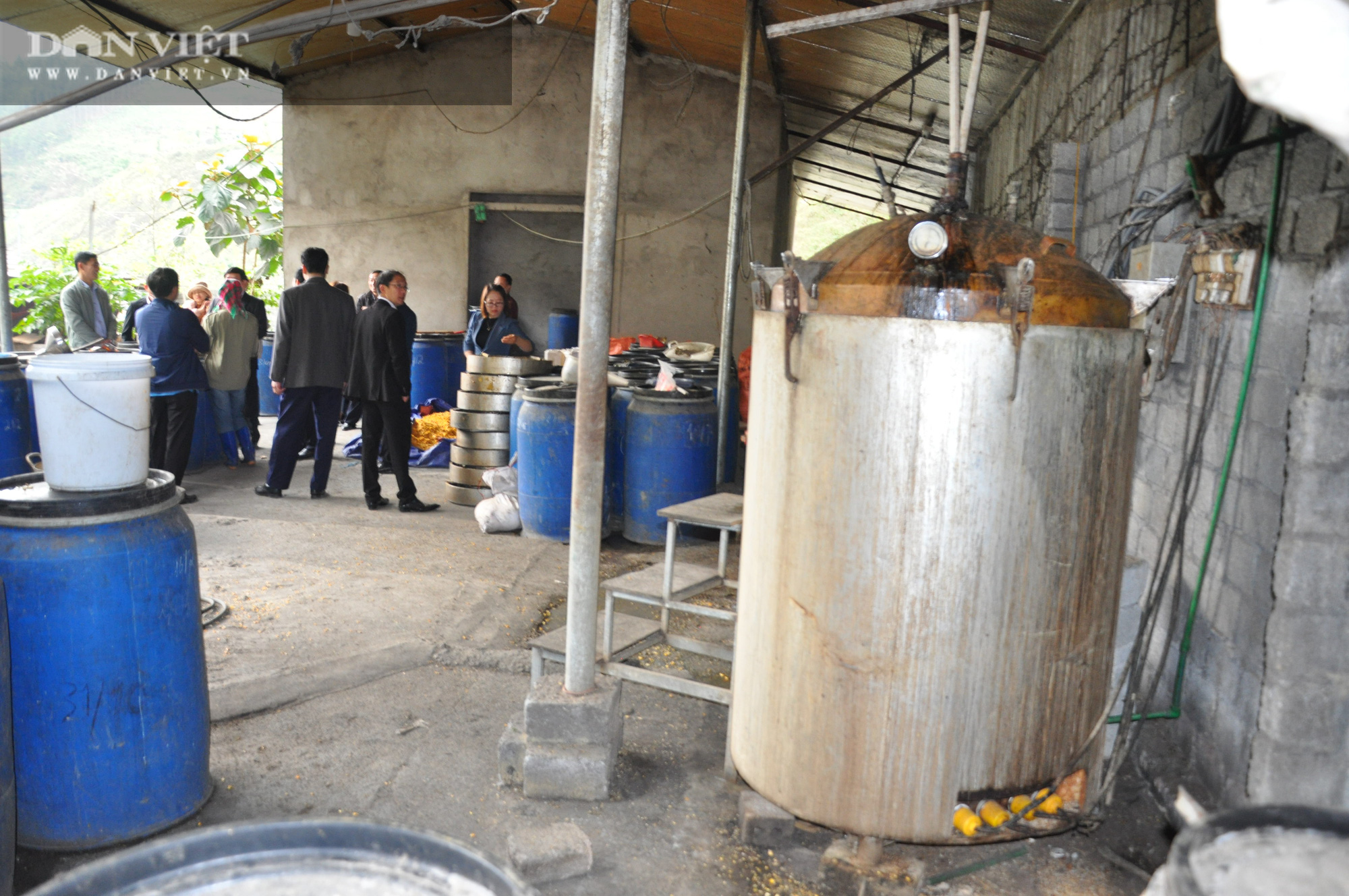 Đã mắt ngắm trang trại nghìn con lợn đặc sản, mỗi con nặng 250kg, lông đầu xoáy bông hoa ở miền sơn cước - Ảnh 11.