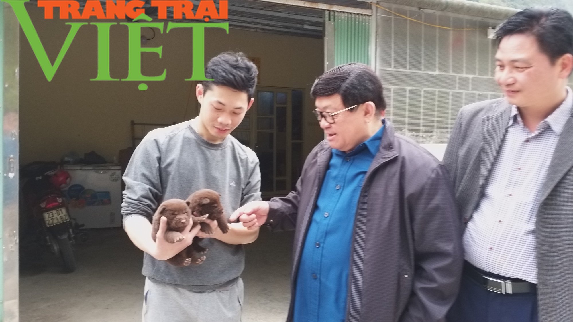 Chàng trai trẻ sở hữu trại chó quý trị giá tiền tỷ ở miền sơn cước - Ảnh 5. Chàng trai trẻ sở hữu trại chó quý trị giá tiền tỷ ở miền sơn cước - Ảnh 5.