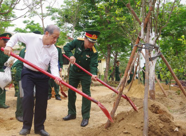 TT-Huế: Mỗi đơn vị quân đội trồng ít nhất một vườn mai để hưởng ứng phong trào &quot;Mai vàng trước ngõ&quot;  - Ảnh 1.