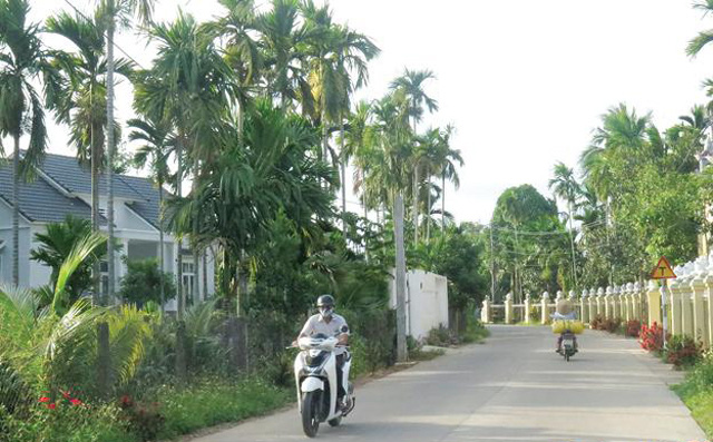 Quảng Ngãi: Huyện cửa ngõ phía nam thành phố về đích Nông thôn mới - Ảnh 3. Quảng Ngãi: Huyện cửa ngõ phía nam thành phố về đích Nông thôn mới - Ảnh 3.