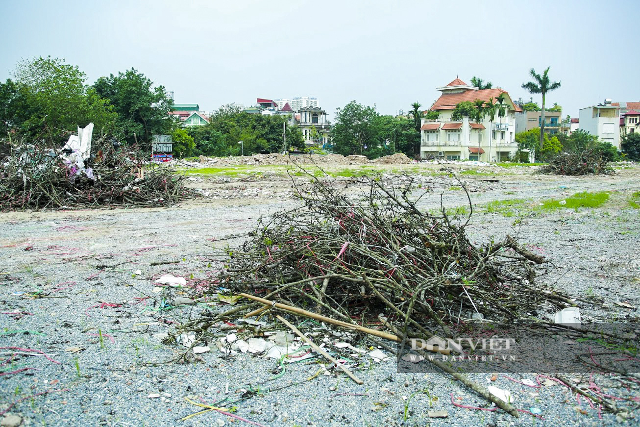 Hết cơn sốt tiền triệu, hoa lê rừng bị vứt đầy đường do không bán được - Ảnh 8.