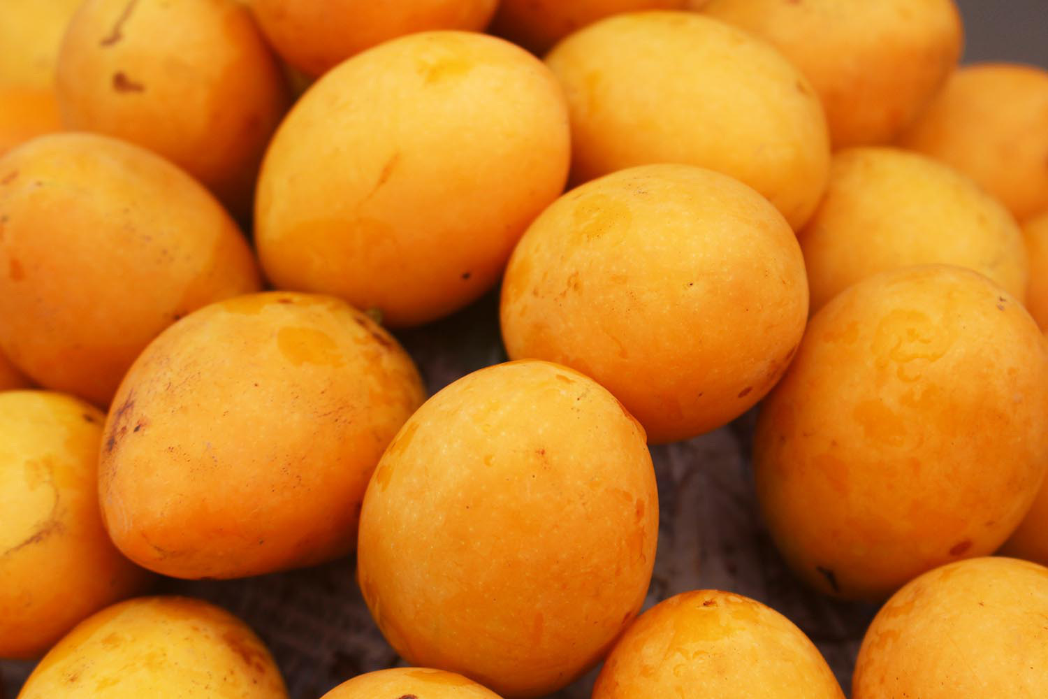 "Sốt" thanh trà dọc vỉa hè Hà Nội, giá 200.000 đồng/kg - Ảnh 2. "Sốt" thanh trà dọc vỉa hè Hà Nội, giá 200.000 đồng/kg - Ảnh 2.