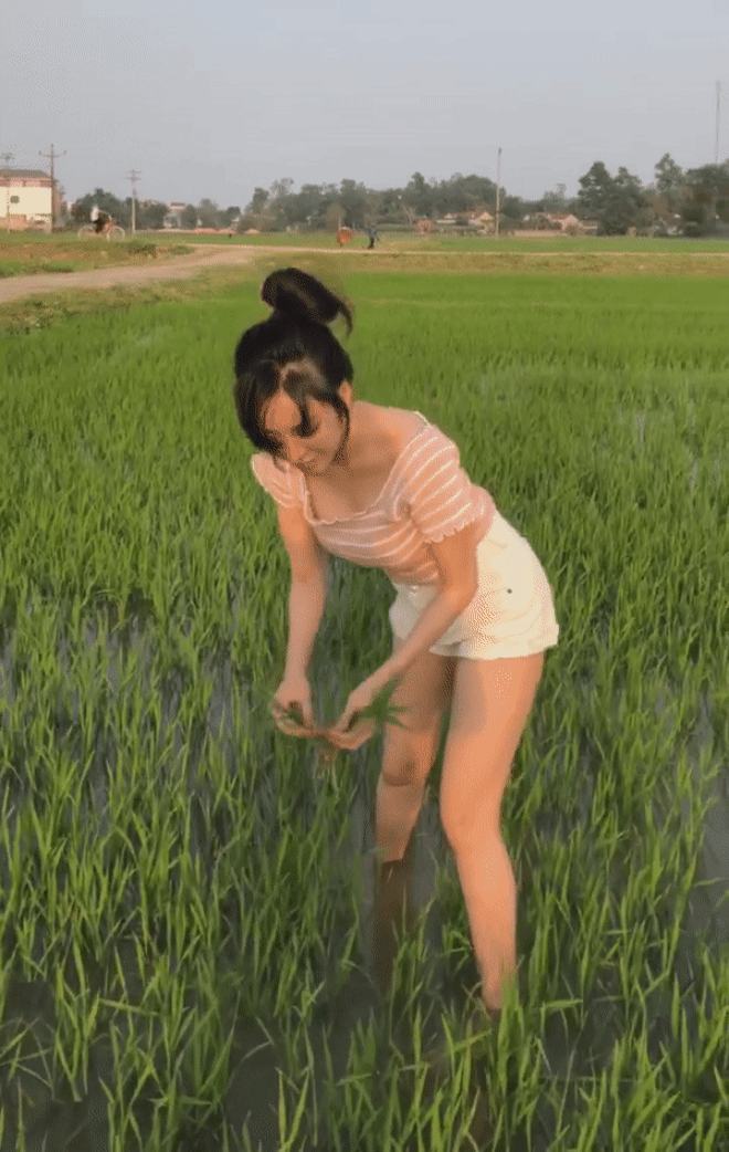 Bà Tưng bị "ném đá" vì đăng video đi ra đồng nhưng lại để lộ vòng 1 hớ hênh - Ảnh 2.