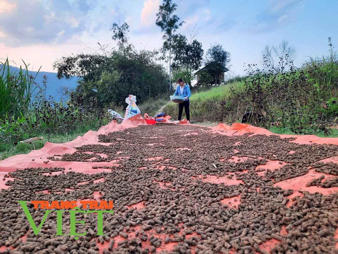 Xây dựng NTM ở Điện Biên: bảo vệ môi trường, đồng hành cùng chăn nuôi - Ảnh 3. Xây dựng NTM ở Điện Biên: bảo vệ môi trường, đồng hành cùng chăn nuôi - Ảnh 3.