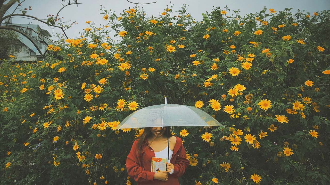 Những địa điểm bỏ hoang nhưng lên hình cực chất ở Đà Lạt - Ảnh 1.