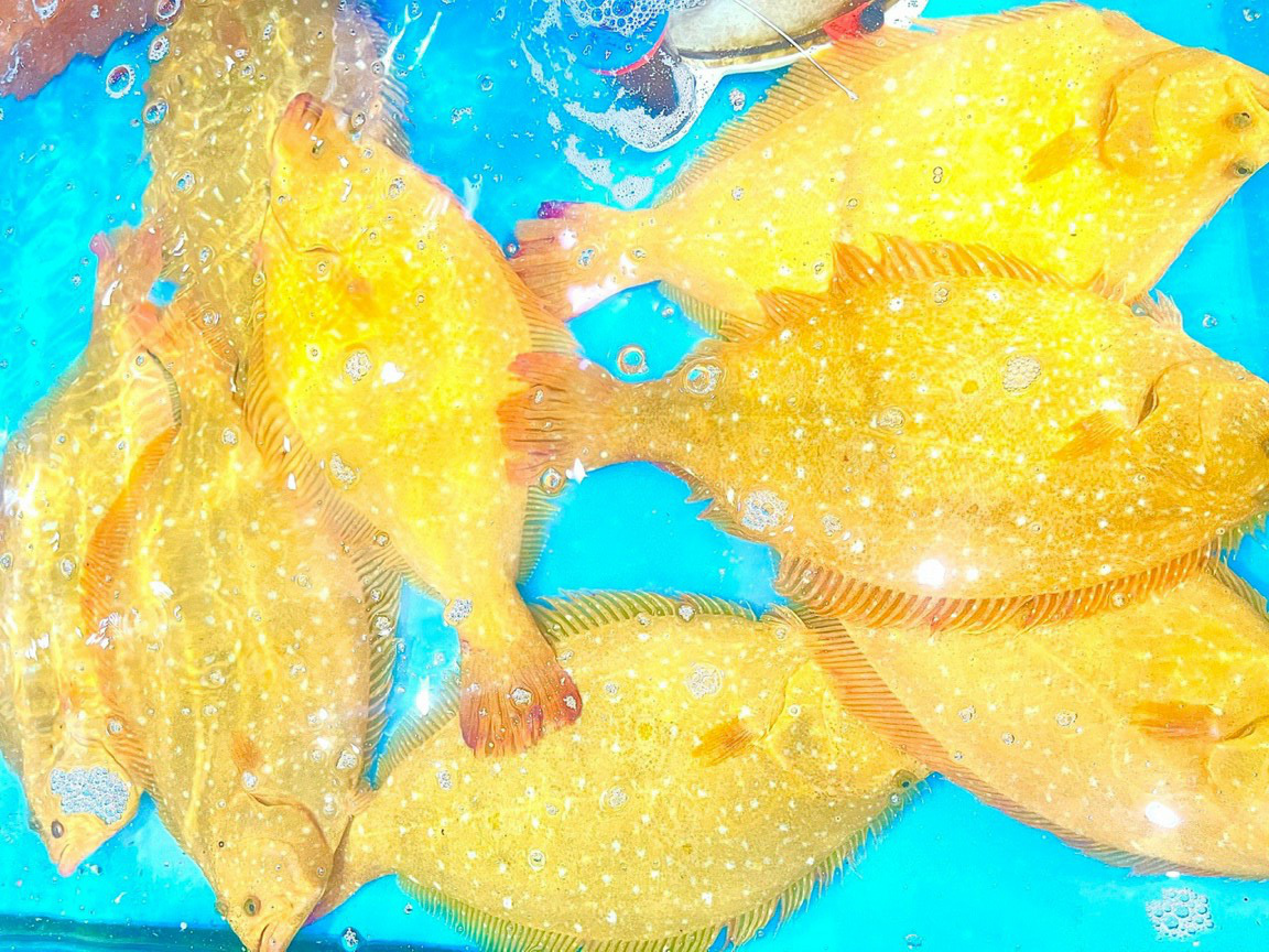 Quảng Nam: "Chói mắt" với Nhà hàng đầu tiên ở Tam Kỳ trước món thịt bò dát vàng - Ảnh 4. Quảng Nam: "Chói mắt" với Nhà hàng đầu tiên ở Tam Kỳ trước món thịt bò dát vàng - Ảnh 4.