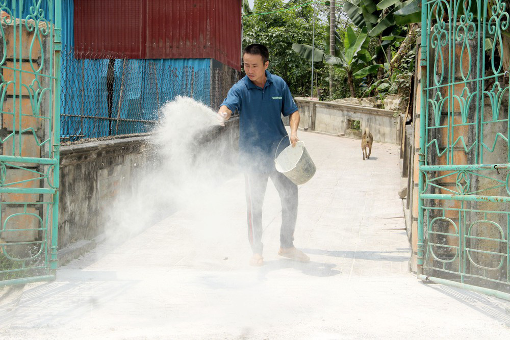 Nghệ An: Ngày nào cũng phải khiêng lợn đi tiêu hủy,  - Ảnh 1.