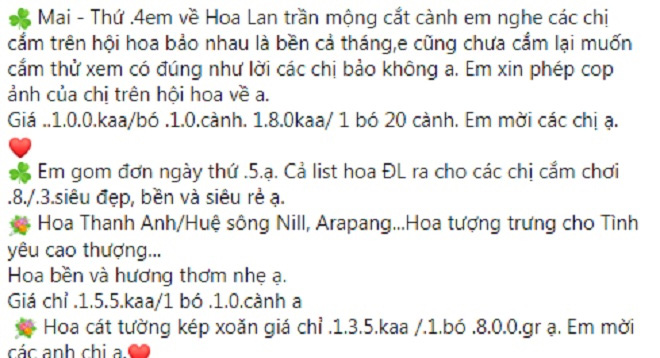Thị trường hoa 8/3: Địa lan trần mộng, hồ điệp bỗng "rẻ như rau" chỉ 10.000 đồng/cành? - Ảnh 1. Thị trường hoa 8/3: Địa lan trần mộng, hồ điệp bỗng "rẻ như rau" chỉ 10.000 đồng/cành? - Ảnh 1.