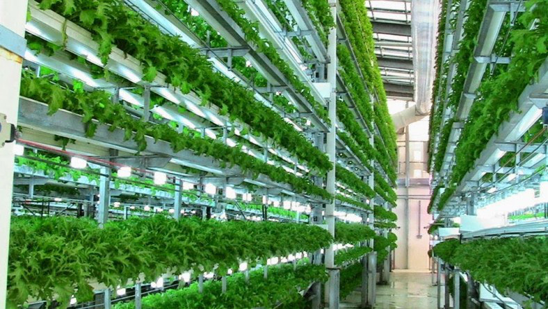 4 công nghệ nông nghiệp &quot;thần kỳ&quot; làm thay đổi tương lai của toàn nhân loại - Ảnh 3.