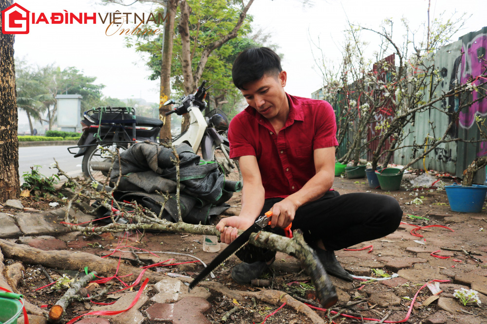 Người dân Hà Nội chen chân mua loài hoa trắng tinh khôi trưng nhà níu giữ sắc xuân - Ảnh 4. Người dân Hà Nội chen chân mua loài hoa trắng tinh khôi trưng nhà níu giữ sắc xuân - Ảnh 4.