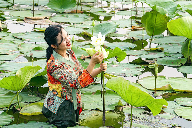 TT-Huế: Mở rộng diện tích trồng sen lên 745ha để nâng cao thu nhập cho dân - Ảnh 1.