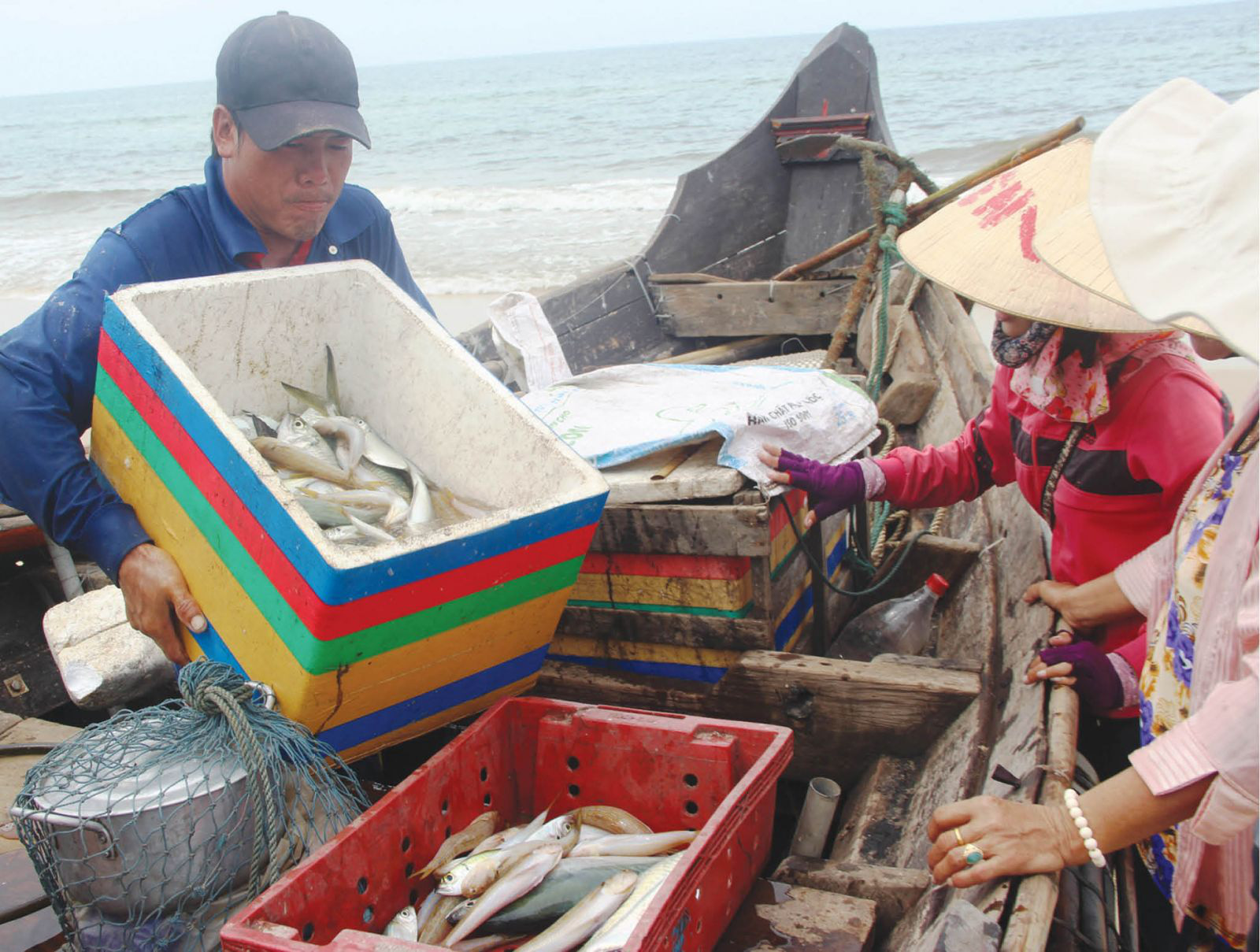 Huế: Liên tục trúng &quot;số&quot;, mẻ nào cũng đầy hự cá trích, khuyết, cá khoai, ngư dân nhẹ nhàng đút túi vài triệu/ngày - Ảnh 1.