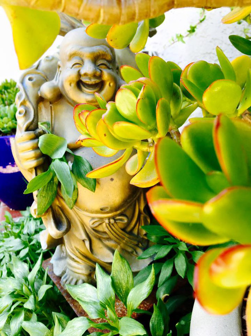 Thúy Nga là người theo Đạo Phật, vậy nên không chỉ trong nhà có các tượng hay tranh về Phật, mà không gian ngoài trời cũng có rất nhiều tượng Phật.