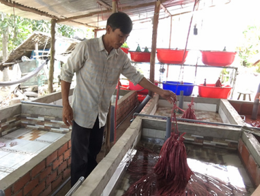 Tiền Giang: Nuôi lươn không bùn ở trong bể xi măng, một ông nông dân từ đời làm thuê thành ông chủ có tiền - Ảnh 1.