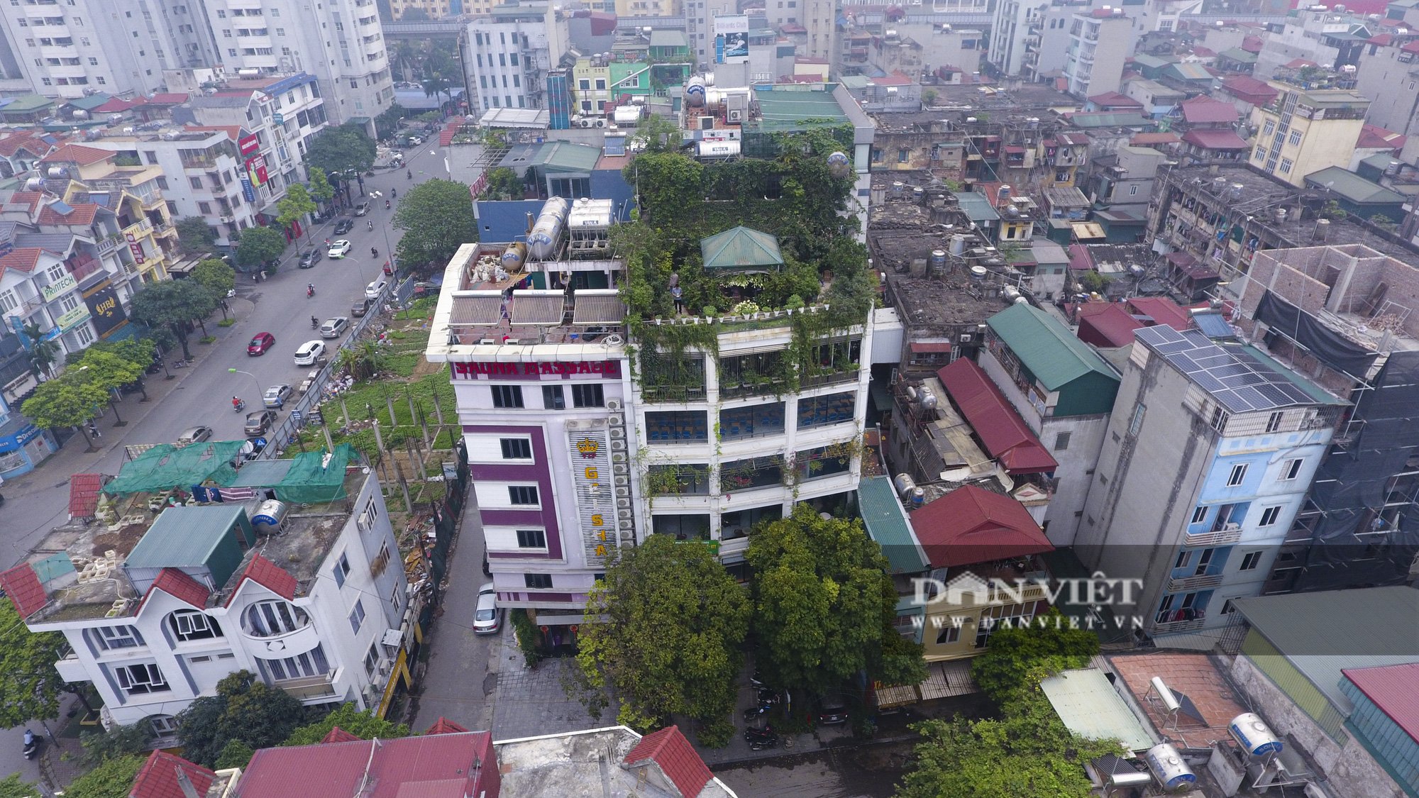 Ngắm khu vườn rộng 200m đẹp như &quot;tiên cảnh&quot; của mẹ đảm Hà thành - Ảnh 5.