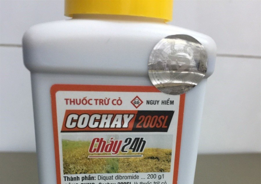Cô gái 22 tuổi tự tử bằng thuốc diệt cỏ - Ảnh 1.
