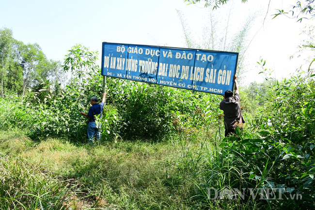 Vụ trường cao đẳng bị kê biên tài sản: Hiệu trưởng nhà trường nói gì? - Ảnh 1.