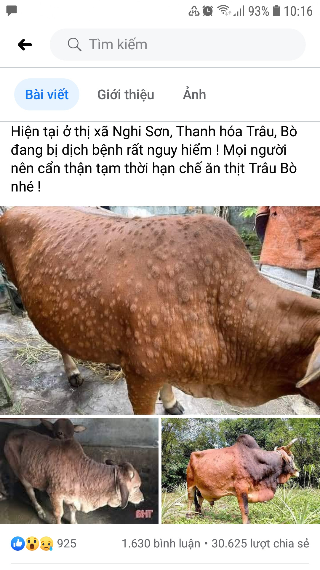 Lên Facebook đăng tin hạn chế ăn thịt trâu bò do bệnh viêm da nổi cục, coi chừng bị phạt tiền - Ảnh 1.