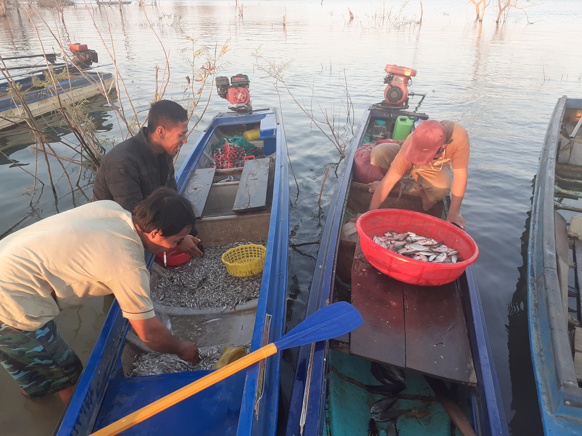 Những nông dân xa xứ, vất vả mưu sinh bên lòng hồ thủy điện - Ảnh 3. Những nông dân xa xứ, vất vả mưu sinh bên lòng hồ thủy điện - Ảnh 3.