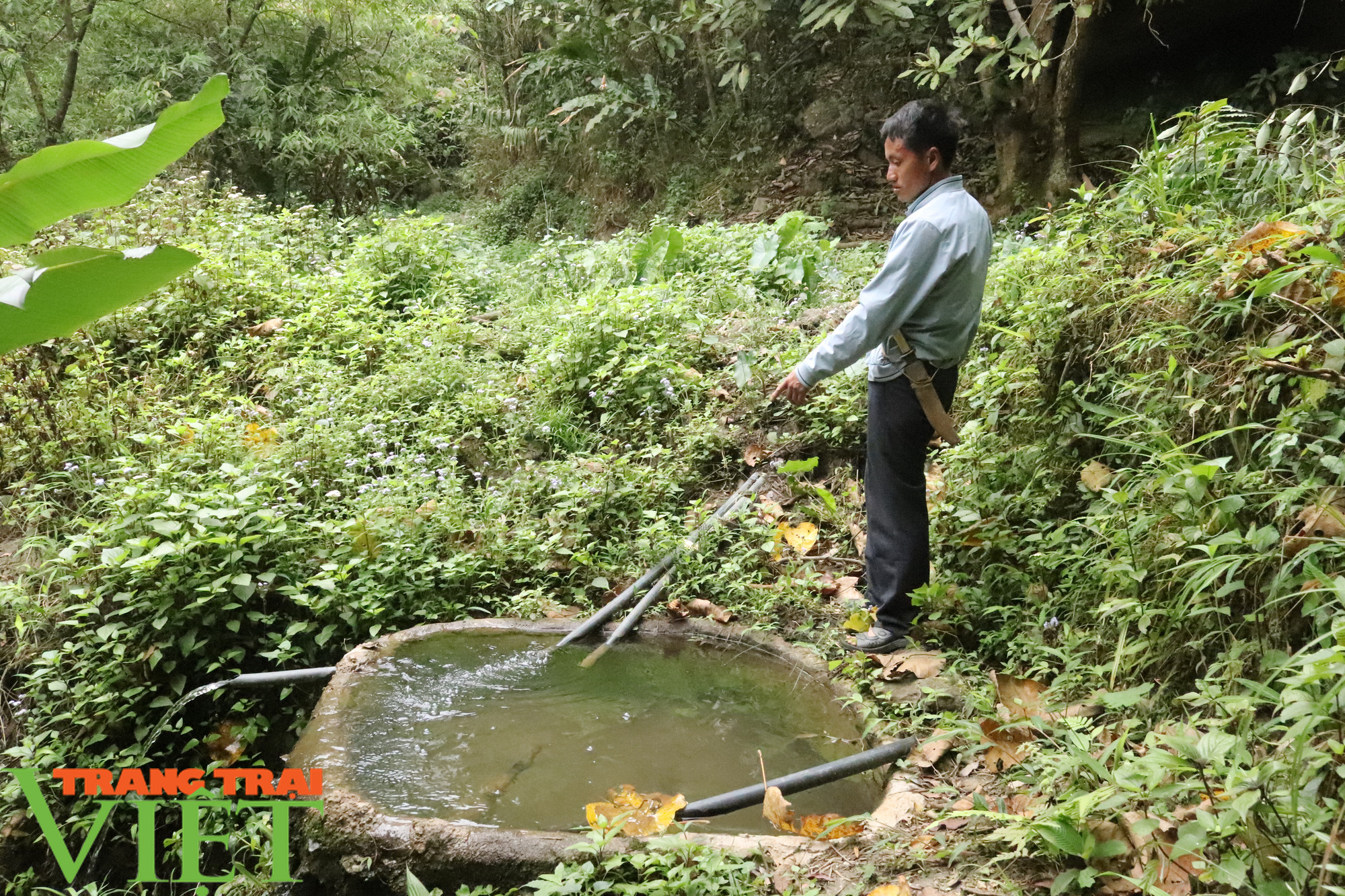 Luật sư nói gì về vụ chặn dòng, bán nguồn nước ở Sơn La? - Ảnh 1. Luật sư nói gì về vụ chặn dòng, bán nguồn nước ở Sơn La? - Ảnh 1.