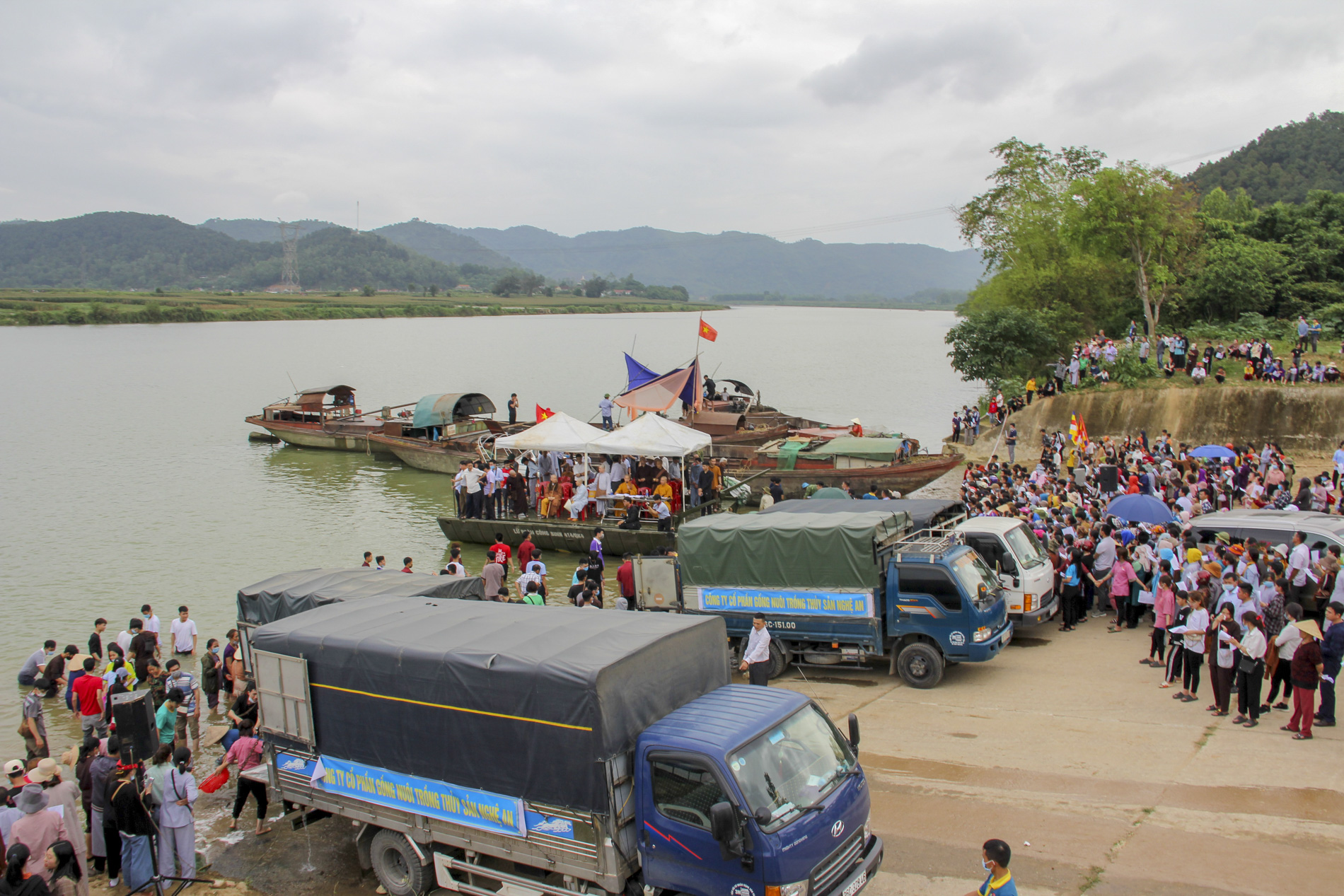 Hơn 10 tấn cá được phóng sinh trên quê hương Bác Hồ - Ảnh 1.