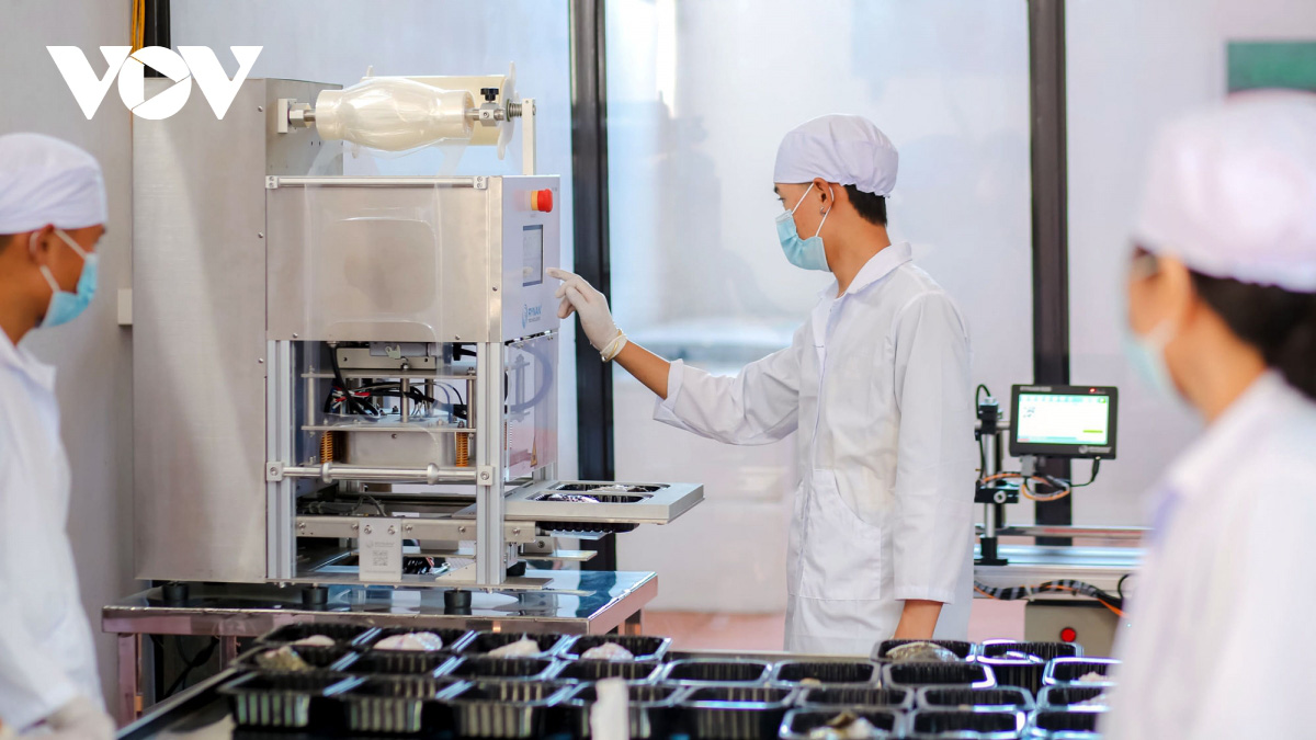 Tìm hướng đưa hàu Vân Đồn đến các thị trường khó tính - Ảnh 2. Tìm hướng đưa hàu Vân Đồn đến các thị trường khó tính - Ảnh 2.