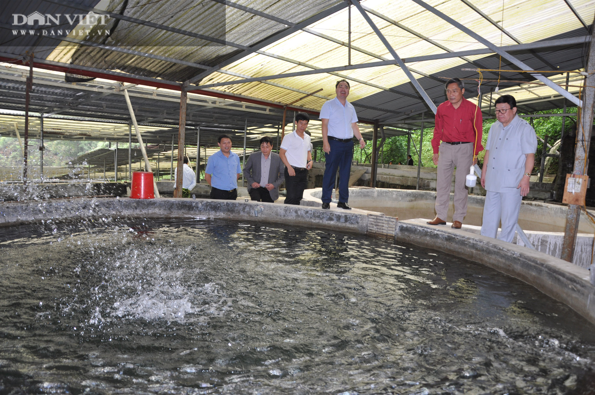 Đại trang trại cá đặc sản trên Cổng Trời mới được Chủ tịch Hội Nông dân Việt Nam có gì đặc biệt? - Ảnh 2.