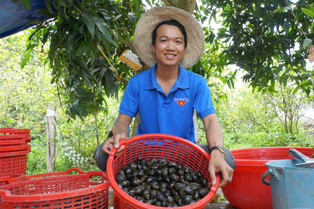 Nuôi loài ốc đặc sản tối ngày rong chơi ở ao bèo rồi đem bán khắp nơi, anh Trí chẳng mấy đã thành triệu phú - Ảnh 1.