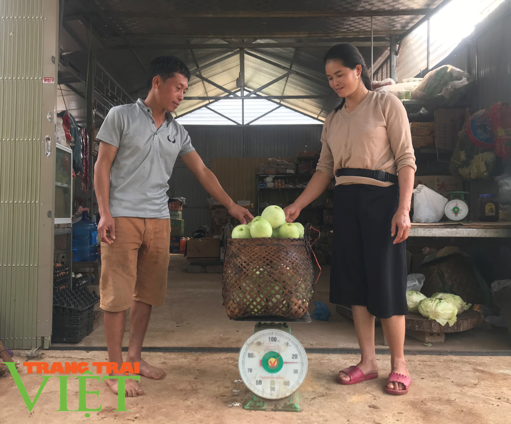 Hiệu quả kinh tế từ trồng dưa trên đất lúa - Ảnh 3. Hiệu quả kinh tế từ trồng dưa trên đất lúa - Ảnh 3.