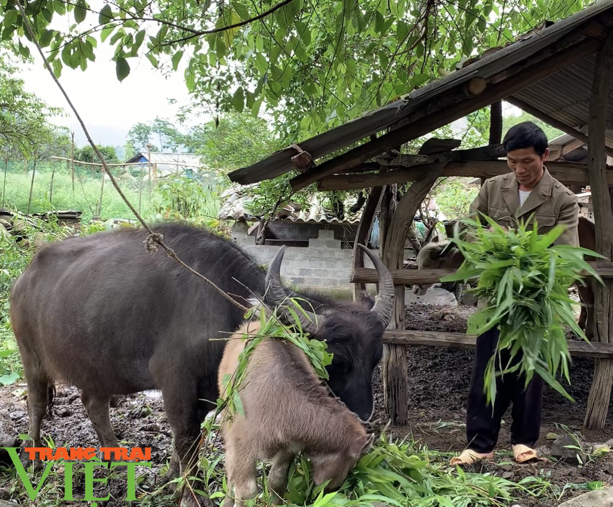 Pan Khèo nói không với ma túy - Ảnh 4. Pan Khèo nói không với ma túy - Ảnh 4.