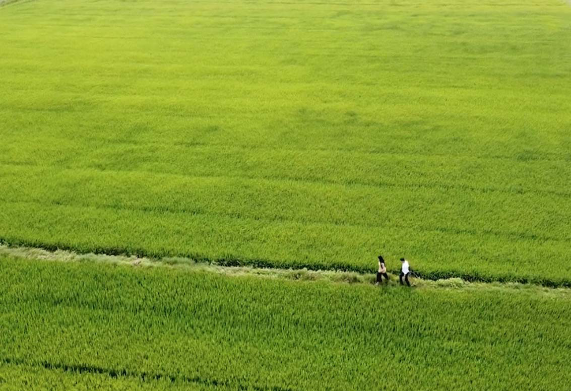 Đẹp mê mẩn với hình ảnh Quảng Bình thiên nhiên tươi đẹp trong MV của ca sĩ Trần Nguyên Thắng - Ảnh 2.