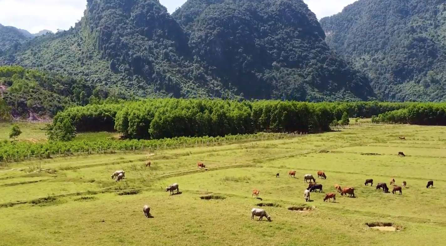 Đẹp mê mẩn với hình ảnh Quảng Bình thiên nhiên tươi đẹp trong MV của ca sĩ Trần Nguyên Thắng - Ảnh 1.