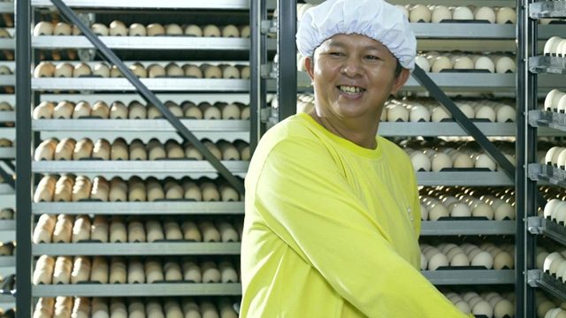 Bel Gà hiện đang sở hữu 4 trang trại gà giống; 2 nhà máy ấp trứng theo tiêu chuẩn Global GAP. Mỗi năm, Bel Gà cung cấp hơn 35 triệu con gà giống chất lượng cao cho thị trường Việt Nam và Campuchia.