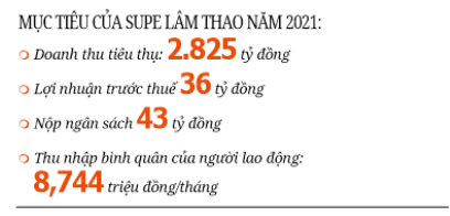 (gop) Supe Lâm Thao phấn đấu lợi nhuận trước thuế 36 tỷ đồng - Ảnh 2.