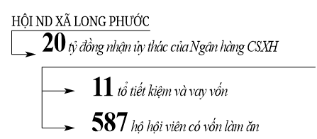 (Gop) Lợn rừng, bò lai giúp “đuổi nghèo” ở Long  Phước - Ảnh 3.