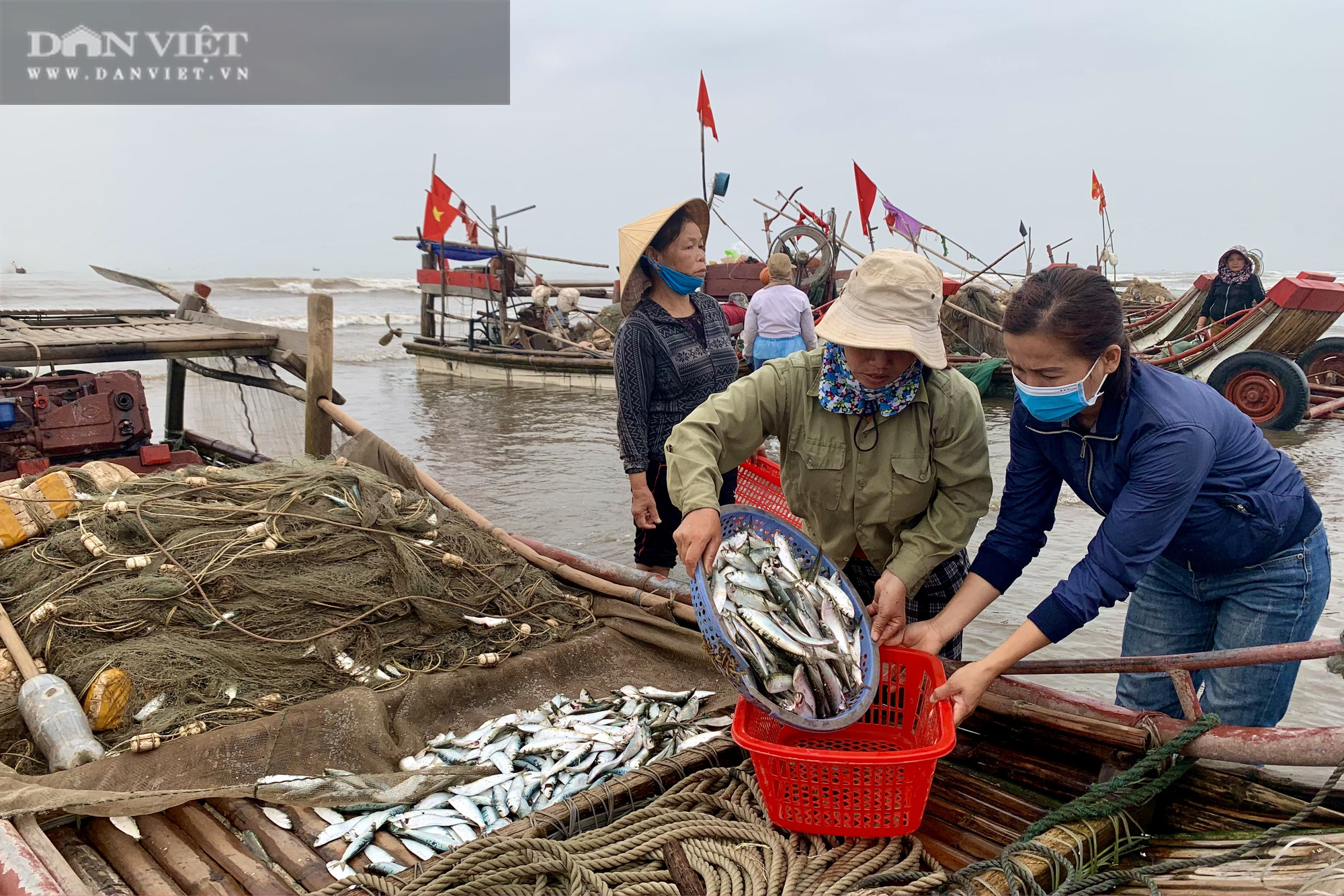 Trung Quốc tạm ngừng &quot;ăn&quot;, ngư dân Nghệ An đành bán rẻ &quot;lộc biển&quot; cho thương lái - Ảnh 8.