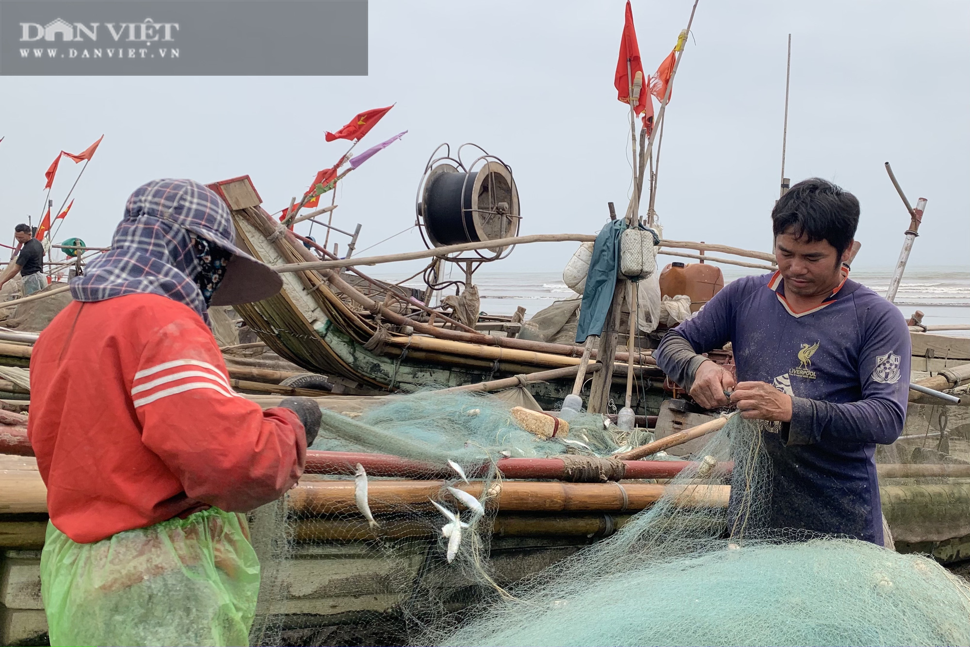 Trung Quốc tạm ngừng &quot;ăn&quot;, ngư dân Nghệ An đành bán rẻ &quot;lộc biển&quot; cho thương lái - Ảnh 9.