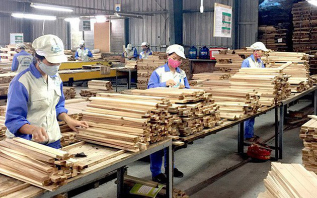 Nhập khẩu gỗ nguyên liệu: Cần đề phòng nguy cơ điều tra phòng vệ thương mại - Ảnh 1.