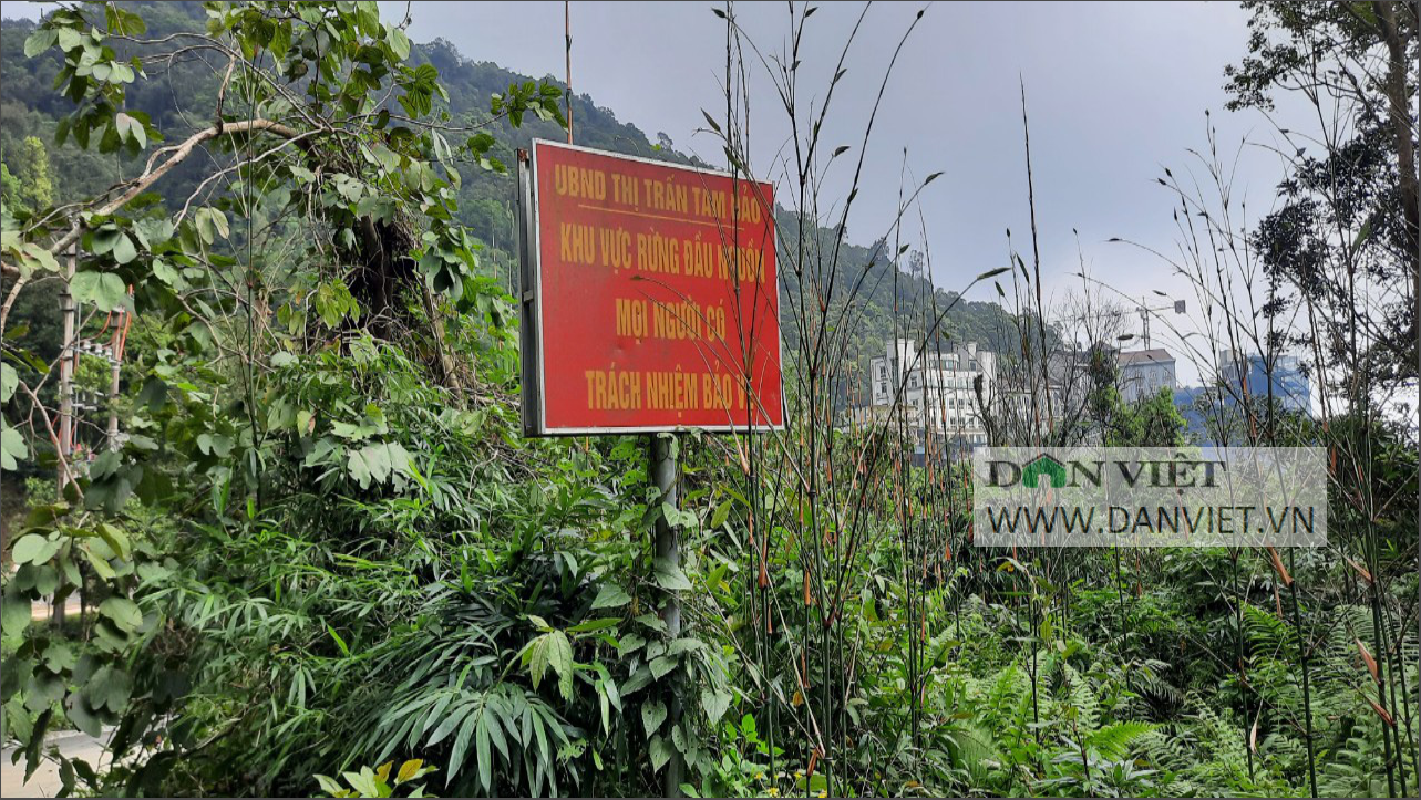 Tam Đảo (Vĩnh Phúc) - Thị trấn trong mây và những điều chưa &quot;đẹp&quot; - Ảnh 8.