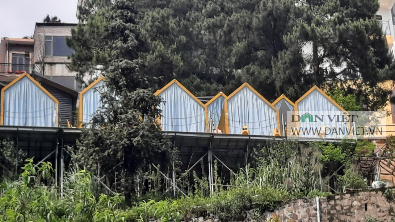 Tam Đảo (Vĩnh Phúc) - Thị trấn trong mây và những điều chưa &quot;đẹp&quot; - Ảnh 17.