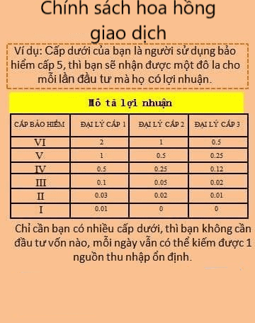 “Sập” ứng dụng đầu tư Coolcat, người chơi đứng ngồi không yên - Ảnh 1.