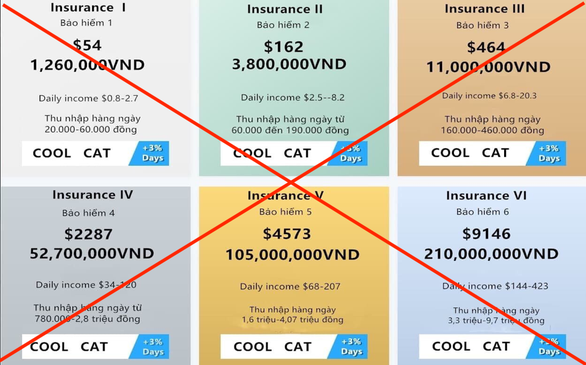 “Sập” ứng dụng đầu tư Coolcat, người chơi đứng ngồi không yên - Ảnh 3.