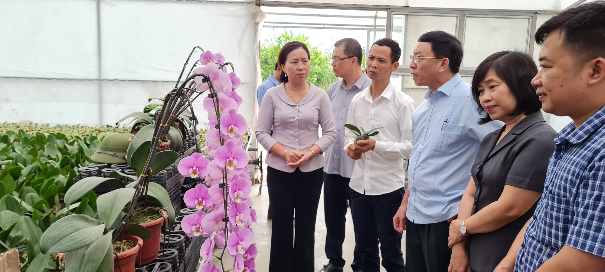 Phó Chủ tịch TW Hội Nông dân Việt Nam thăm quan mô hình trồng lan tại An Dương, Hải Phòng - Ảnh 2.