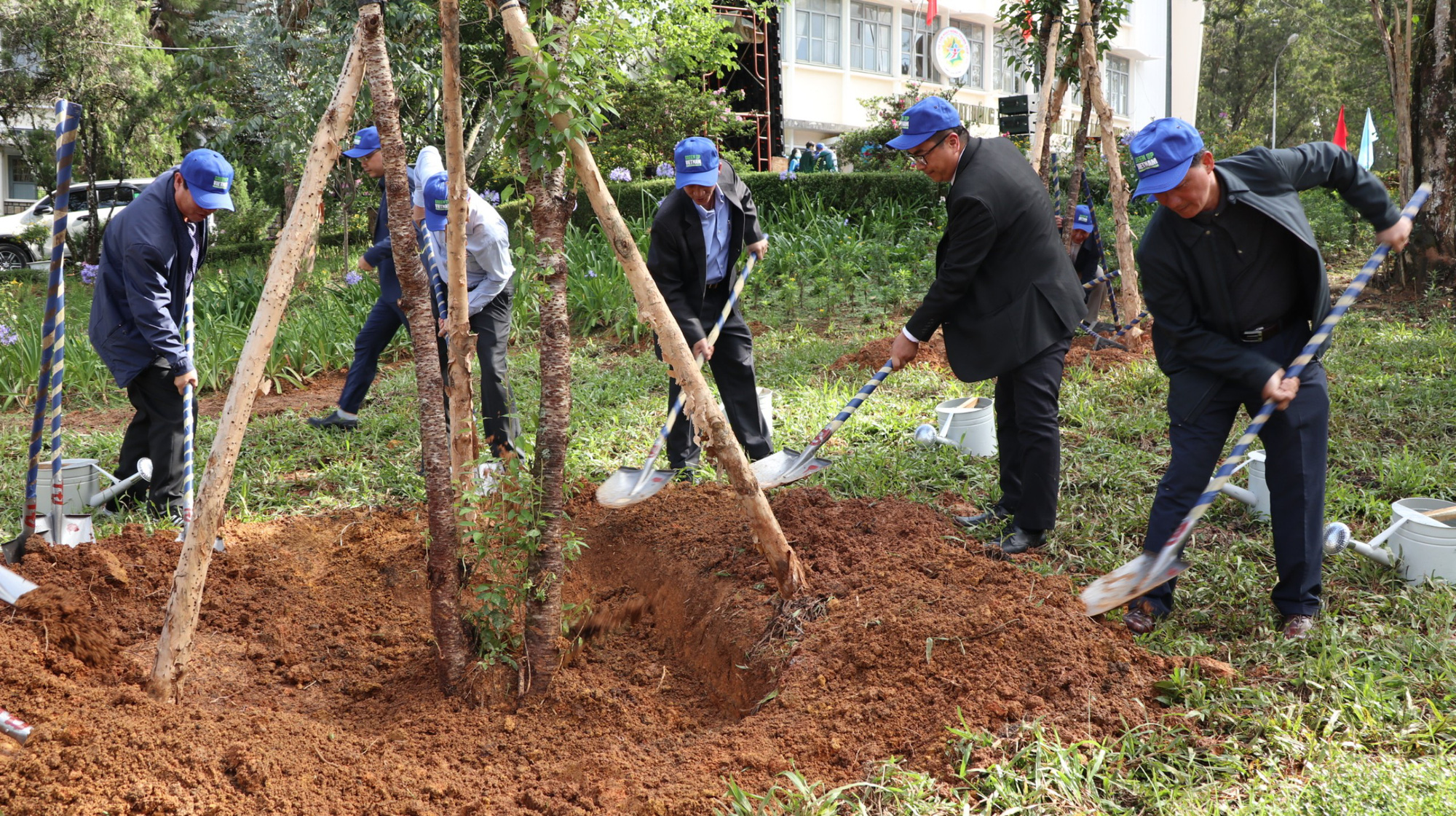 Lâm Đồng: Trồng 50 triệu cây xanh với phương châm "trồng cây nào, sống cây đó" - Ảnh 1. Lâm Đồng: Trồng 50 triệu cây xanh với phương châm "trồng cây nào, sống cây đó" - Ảnh 1.