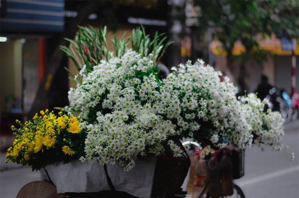 Hình ảnh khiến người xem phải giật mình vì có một Hà Nội rất bình yên và giản dị - Ảnh 9.