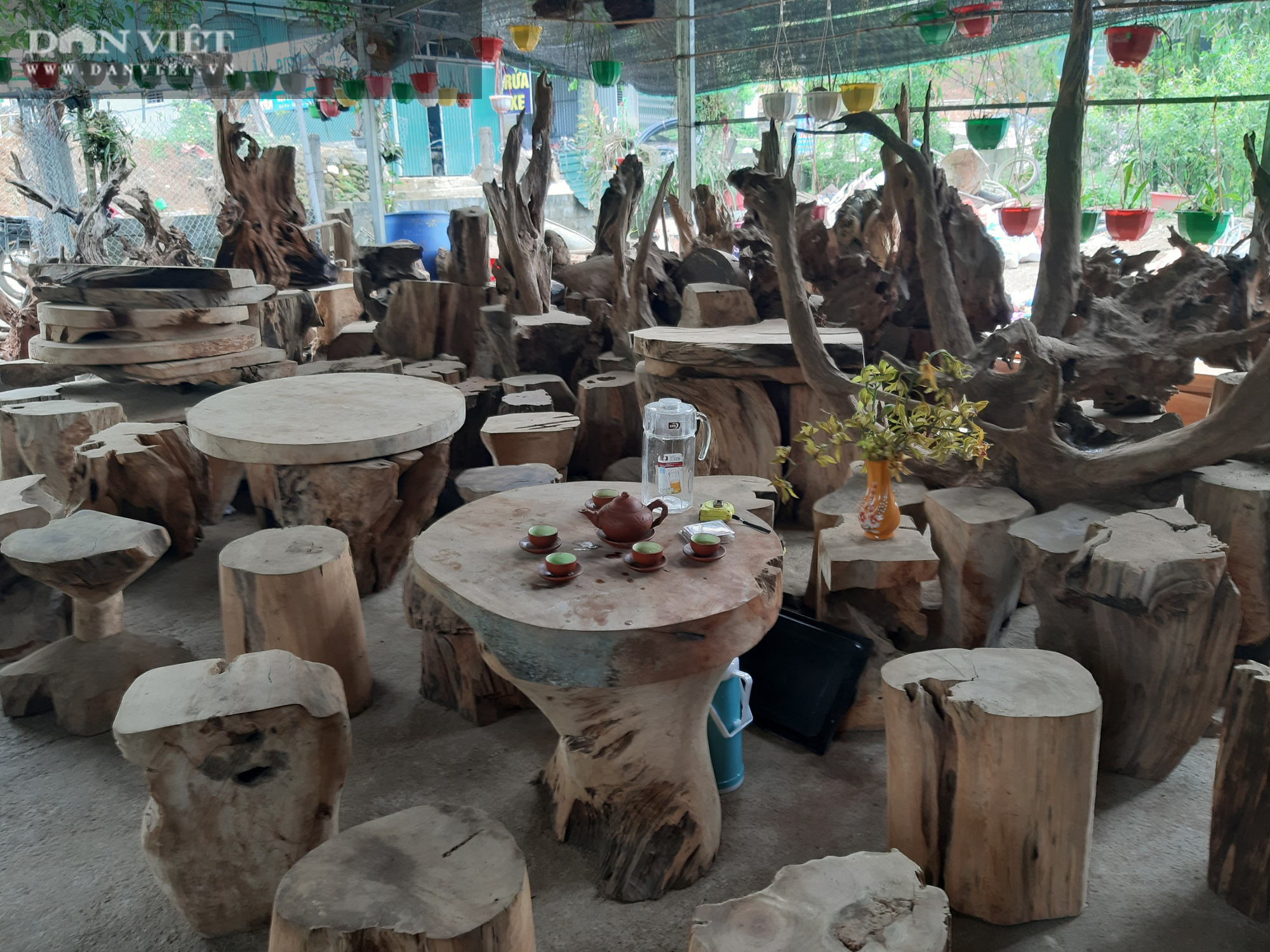 Phá Vườn quốc gia Hoàng Liên (Bài 3): Kiểm lâm “lượn qua”, lâm tặc vẫn chở gỗ ầm ầm - Ảnh 14.