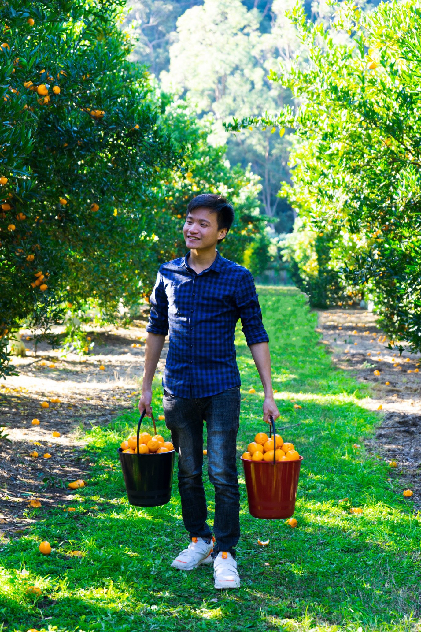 Chàng SV Bách khoa Hà Nội thổi sáo độc lạ... bằng cuống lá đu đủ có thành tích cực khủng - Ảnh 3. Chàng SV Bách khoa Hà Nội thổi sáo độc lạ... bằng cuống lá đu đủ có thành tích cực khủng - Ảnh 3.