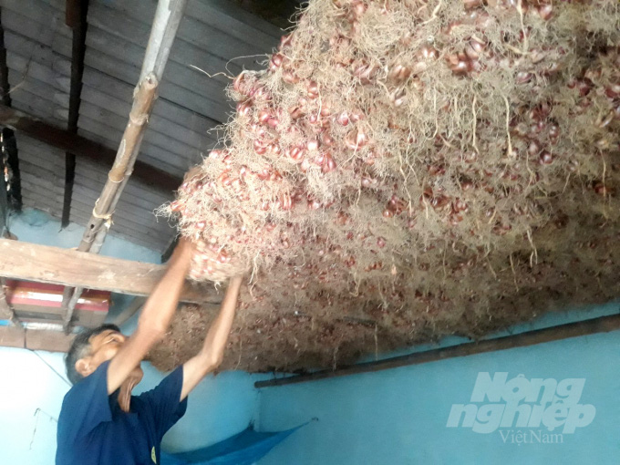 Giá 1kg hành tím chỉ bằng 1-2 cốc trà đá, nông dân Bình Định như ngồi trên đống lửa - Ảnh 5. Giá 1kg hành tím chỉ bằng 1-2 cốc trà đá, nông dân Bình Định như ngồi trên đống lửa - Ảnh 5.