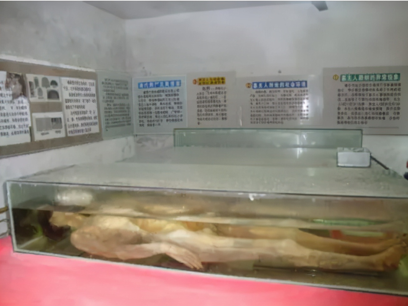 3 nghề kì dị độc nhất thiên hạ, khó tận mắt thấy nhưng  ai nghe qua đều 'rợn người' - Ảnh 1.