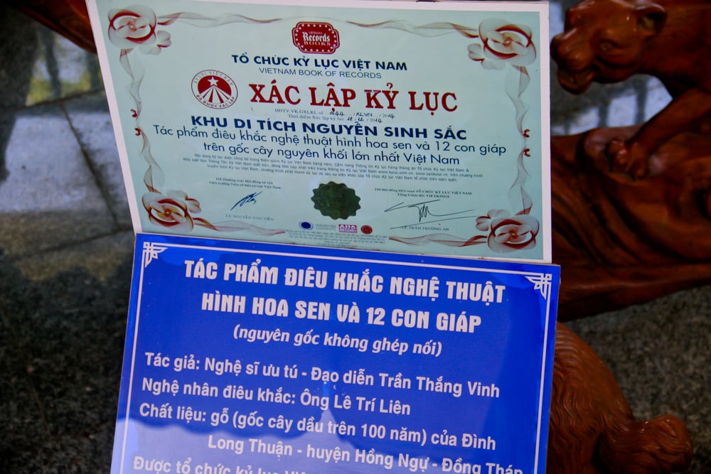 Mãn nhãn 2 tuyệt tác điêu khắc xác lập Kỷ lục Việt Nam ở Đồng Tháp có gì đặc biệt? - Ảnh 14. Mãn nhãn 2 tuyệt tác điêu khắc xác lập Kỷ lục Việt Nam ở Đồng Tháp có gì đặc biệt? - Ảnh 14.